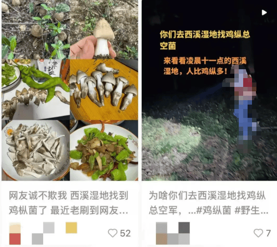 杭州这里一批批人涌入！多平台公告：严禁澳