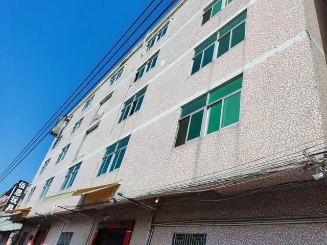 如今3家工厂10家店“睡地板也要当老板”澳门新葡京app潮汕小伙5000元创业(图7) 如今3家工厂10家店“睡地板也要当老板”澳门新葡京app潮汕小伙5000元创业(图7)